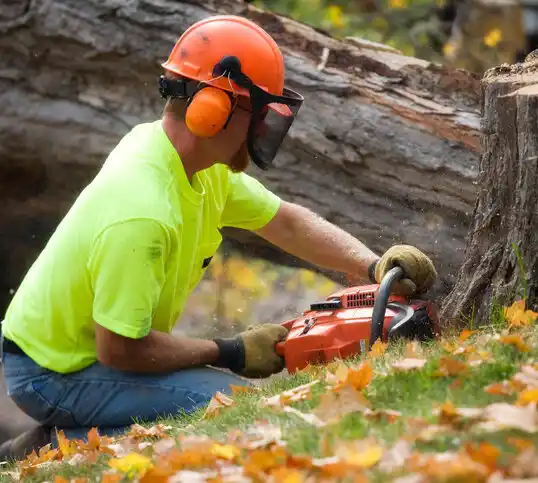 tree services Port Norris